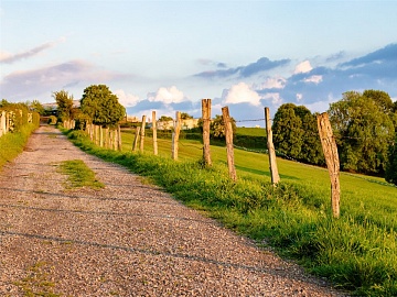Победа в деле о сервитуте для  572 собственников дачных участков 